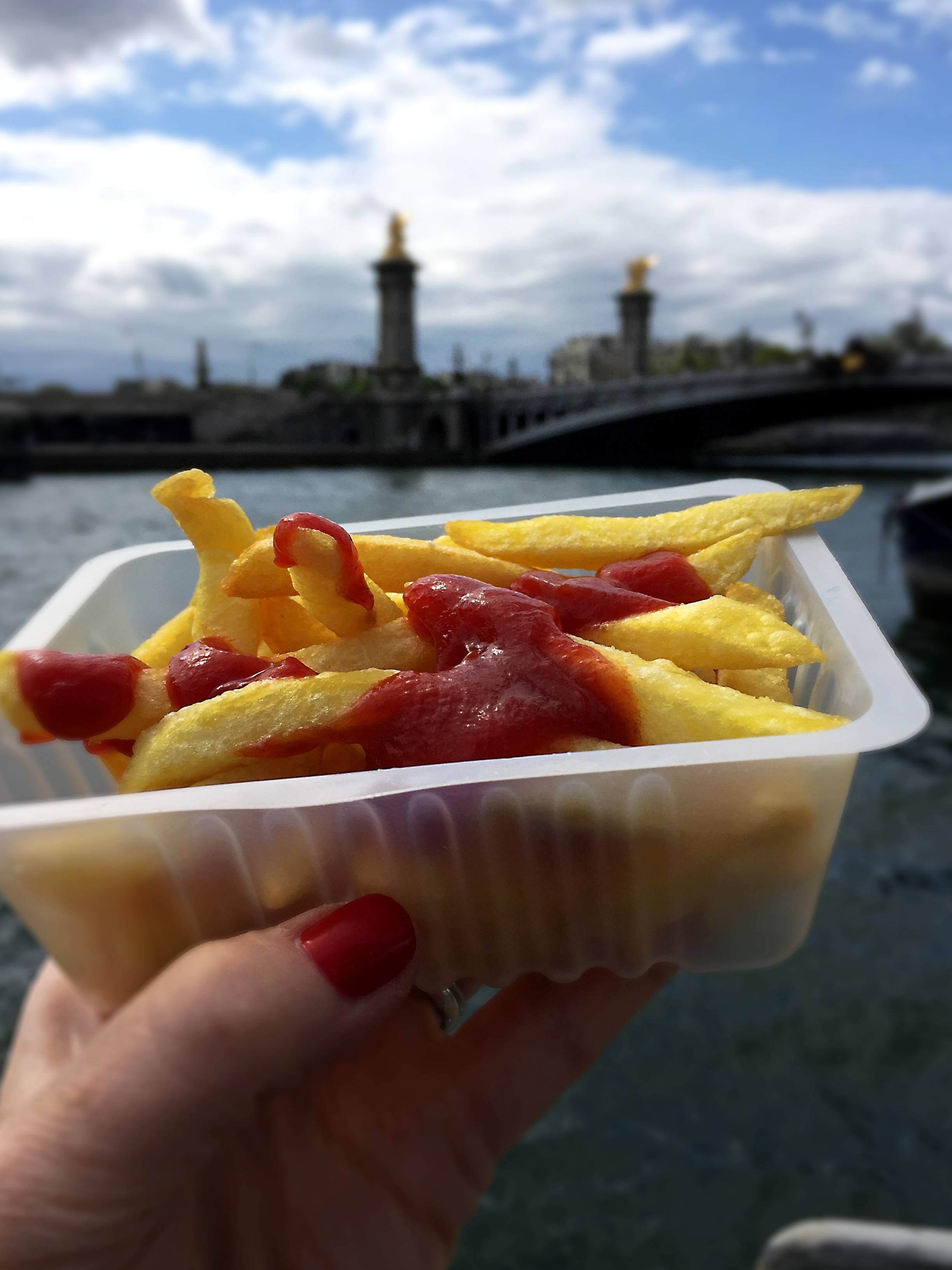 frites on the Seine An American vegan in Paris believeinvegan.com