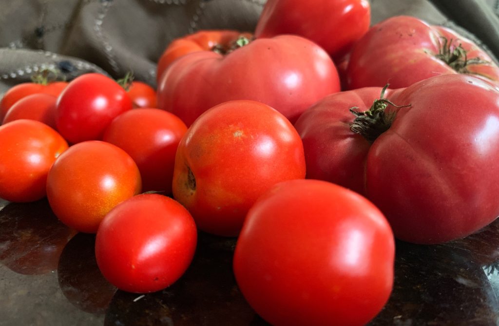 tomatoes believeinvegan.com